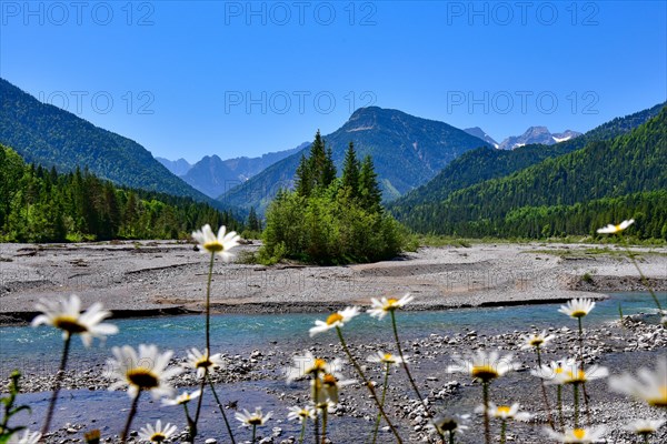 At the headwaters of the Isar near Vorderriss