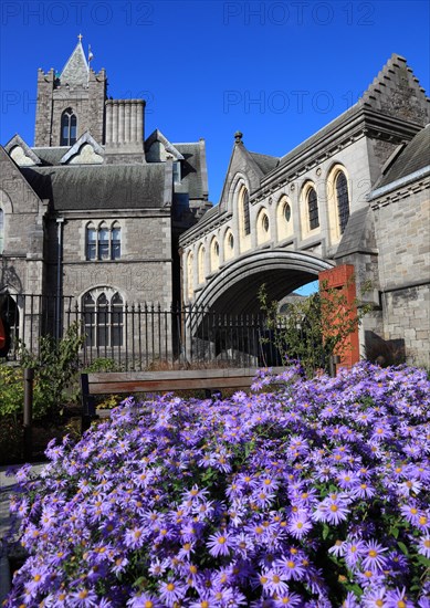 Christ Church Cathedral