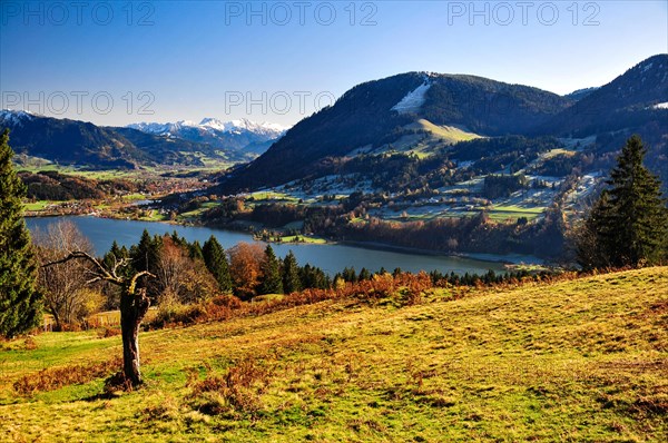 View of the Alpsee and Immenstadt