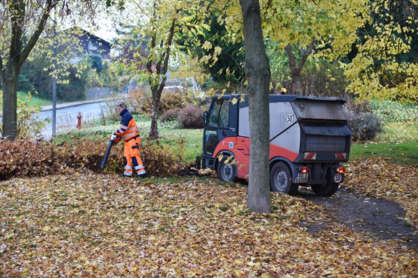 Sweeper sweeps leaves in autumn