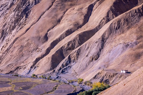 Portrait of a Ladakhi woman