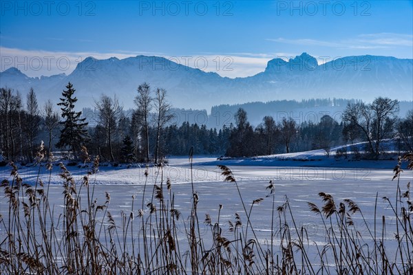 Ice-covered pond in the Allgaeu