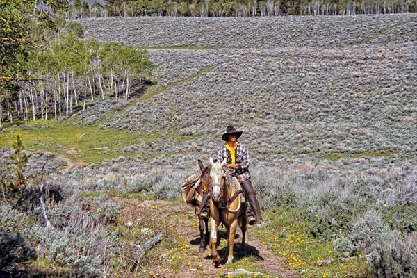 Cowboy with pack horse