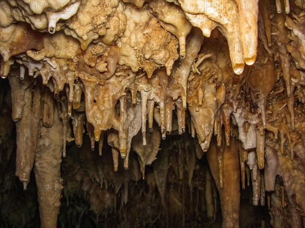 Calcareous water droplets at the top of small stalactites in karst stalactite cave