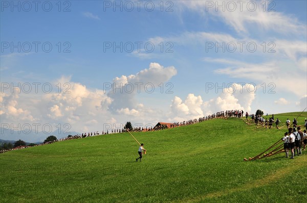 Alphorn players on an alpine meadow in Allgaeu