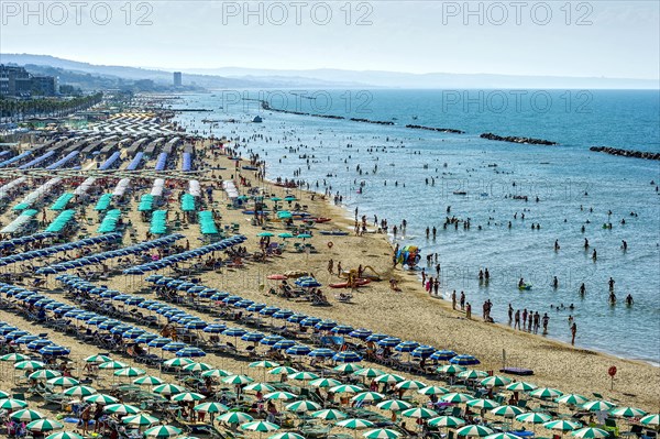 Lively beaches with umbrellas