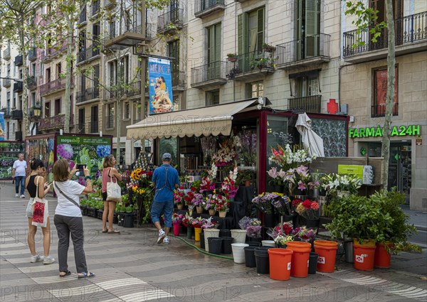 Flower stall on La Rambla