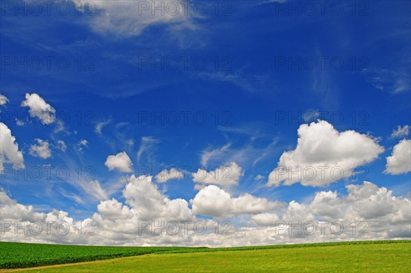 Summer cloudy sky