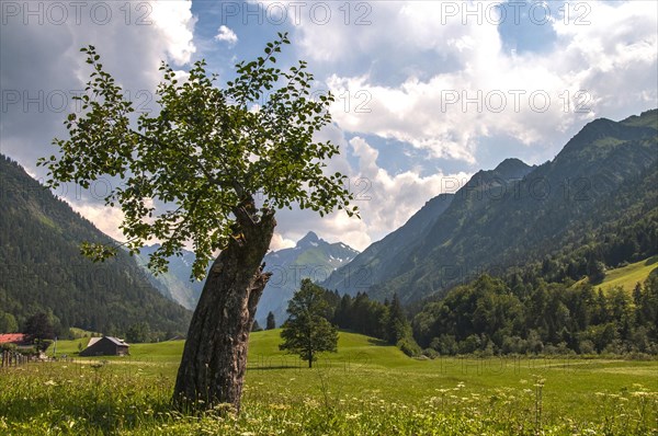 The Trettach valley south of Oberstdorf near Gerstruben