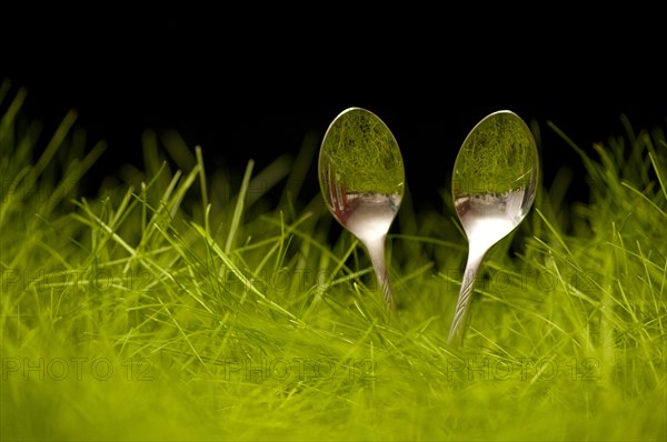 Teaspoon in the grass