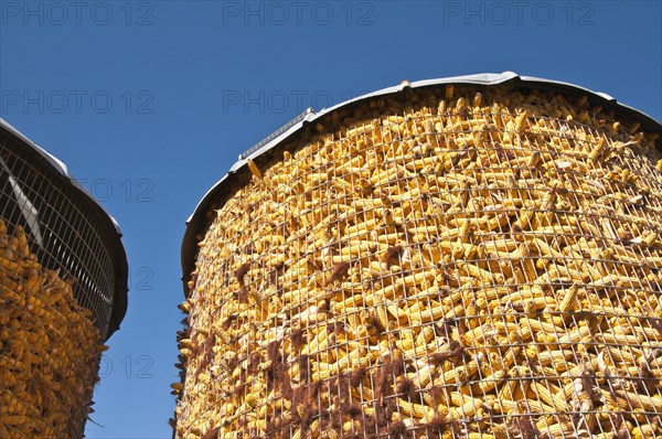 Corn storage bin