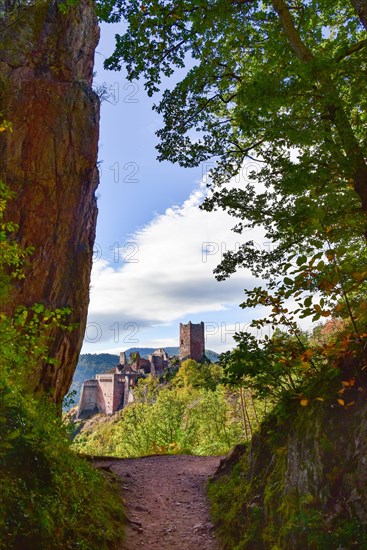 Ruin of the Chateau de Saint-Ulrich