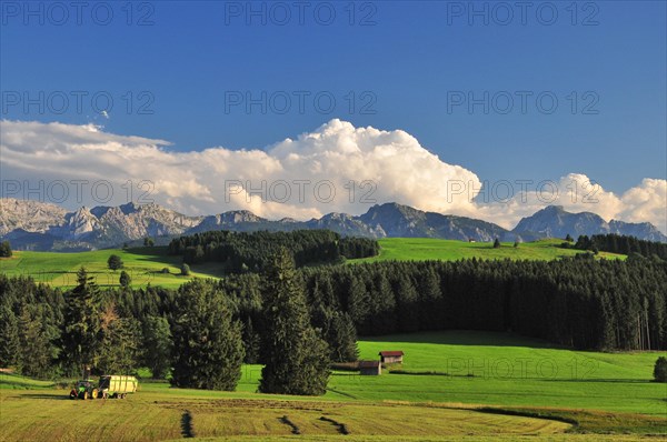 Haymaking in Allgaeu