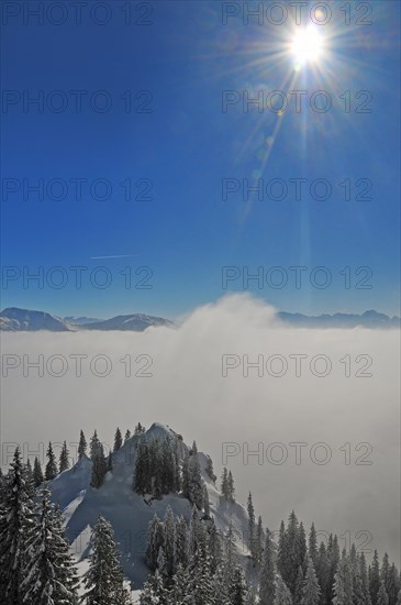 View from the mountain station of the Laberbergbahn