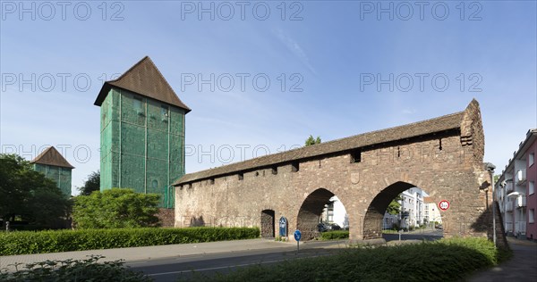 Nibelungen Museum