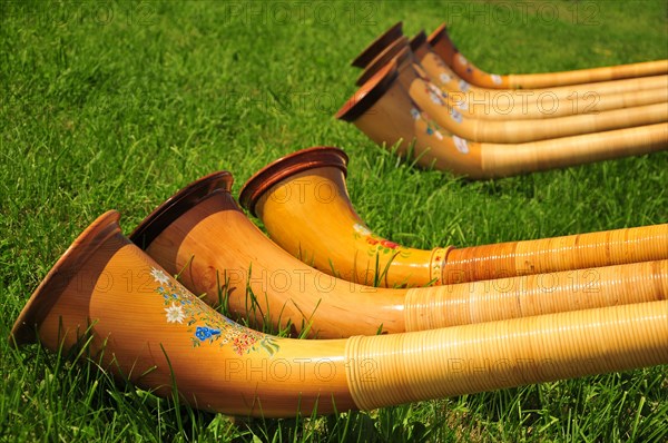 Alpine horns on an alpine meadow in Allgaeu