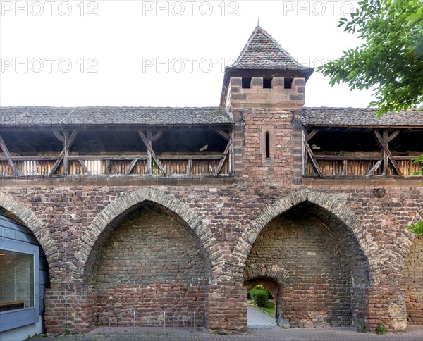 Nibelungen Museum