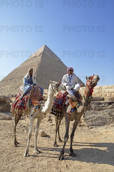Egyptian men on camelid