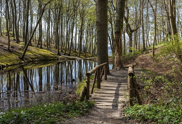 Forest and hiking area near Goehren