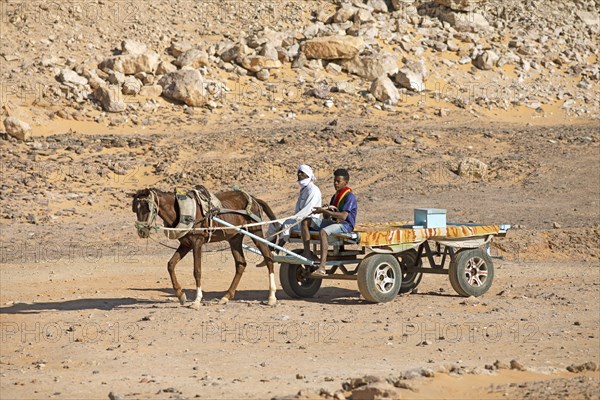 Egyptian men on a horse cart in the Nubian Desert