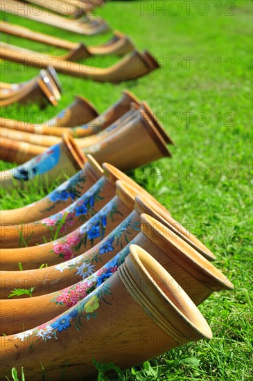 Alpine horns on an alpine meadow in Allgaeu