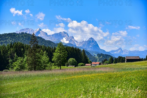 Alpine meadow in summer near Garmisch