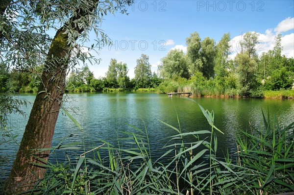 Bathing pond