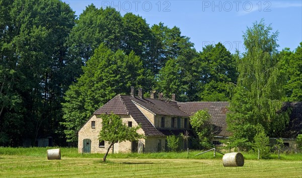 Mecklenburg-Western Pomerania Mecklenburg Lake District Mueritz National Park Abandoned farm near Speck