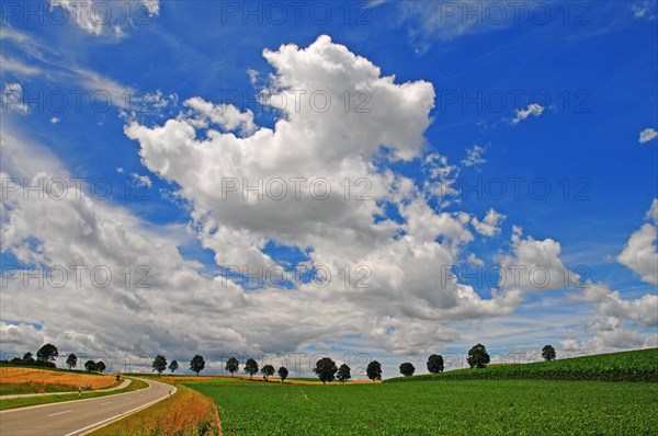 Country road with summer cloudy sky