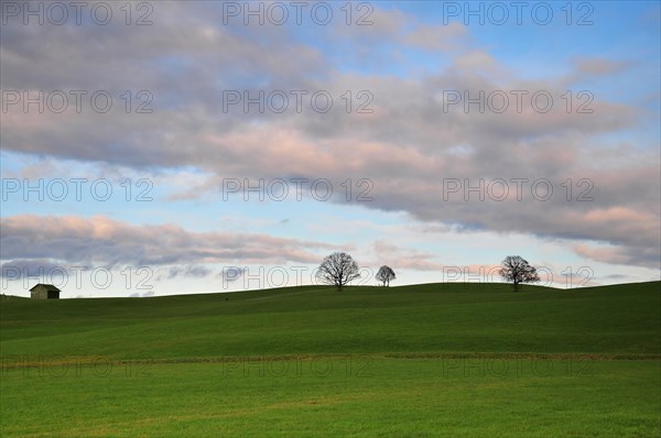 Hilly landscape in the Bavarian foothills of the Alps near Steingaden in Allgaeu