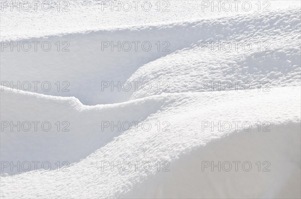 Abstract of snow and light