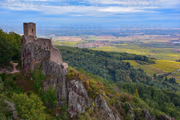 Ruin of the Chateau du Girsberg