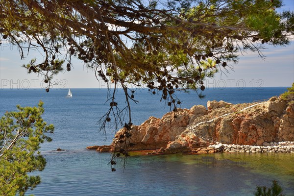 Calanque de Figuieres on the Cote Bleue