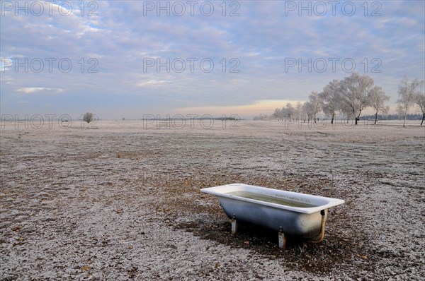 Sheep pasture on the Lechfeld south of Augsburg in winter