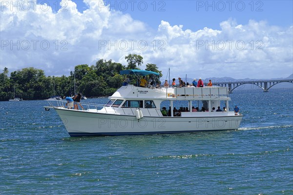 Whale watching boat