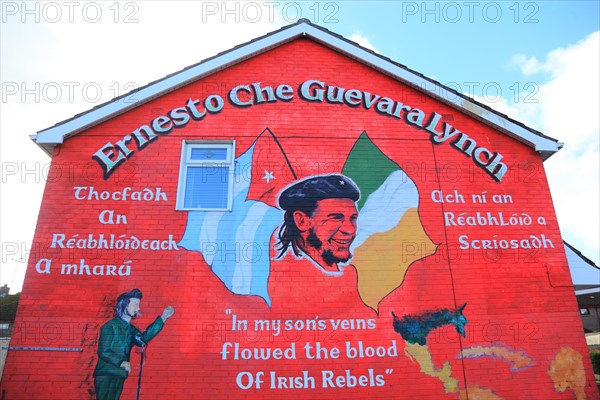 Bogside Murals