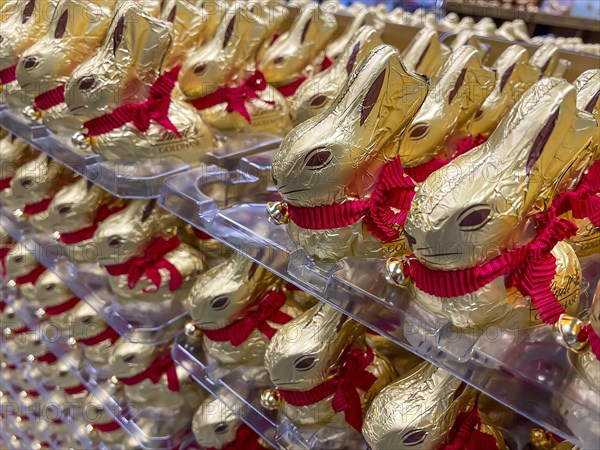 Lindt brand Easter bunnies