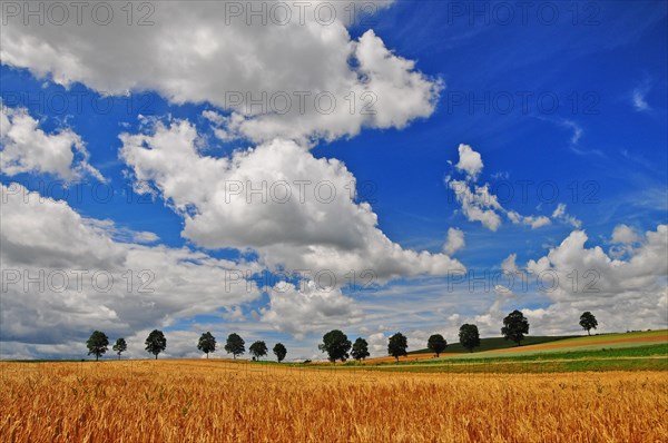 Summer cloudy sky