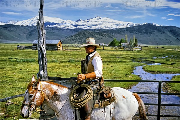 Cowboy on pied horse with vaquero western chaps