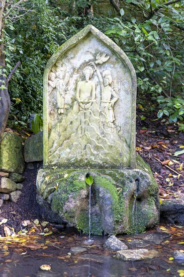 Spring water from sacred well Charlcombe