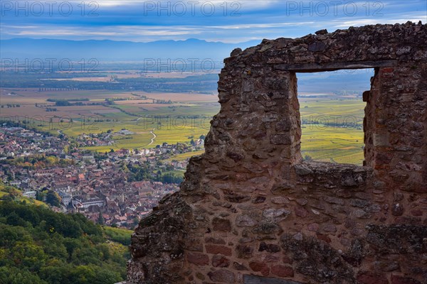 Ruin of the Chateau du Girsberg