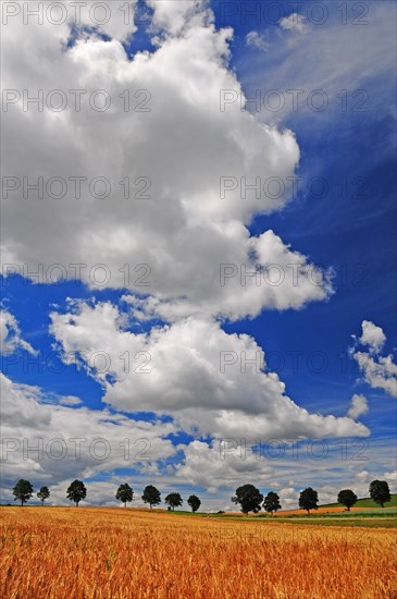 Summer cloudy sky