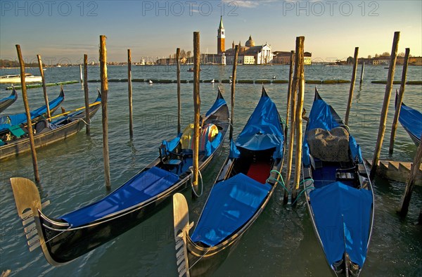 Gondolas at St. Marks Square in Venice with view of San Giorgio Maggiore