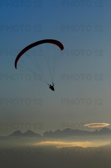 Paraglider