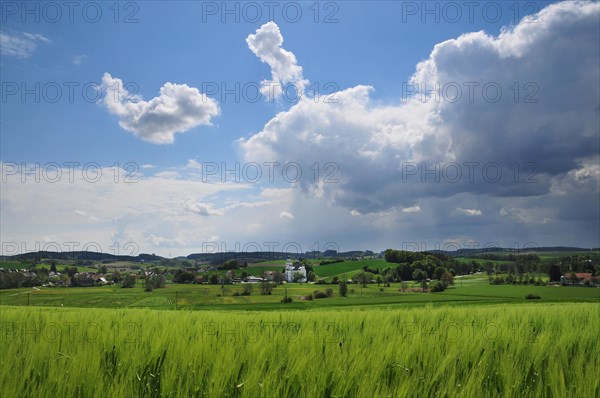 Maria pear tree Pilgrimage Church in Wittelsbach Land