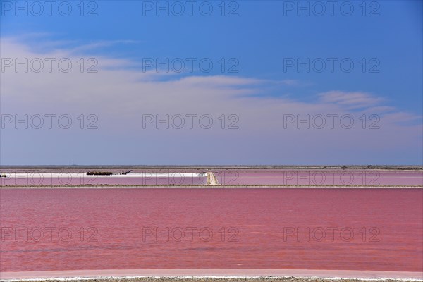 Salt extraction at the Giraud seawater saltworks in the Camargue