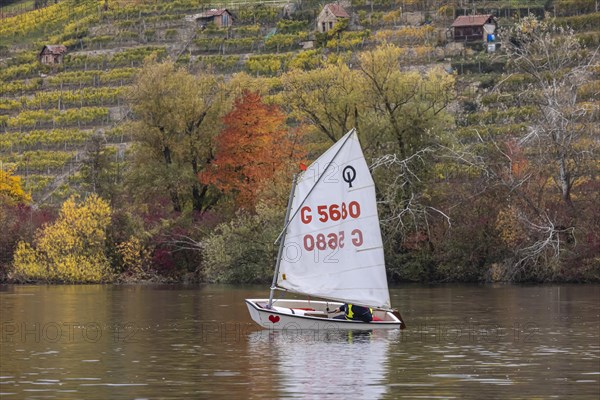 Regatta with the classic training boat Optimist