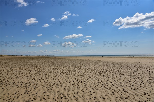 Beach at low tide in the department of Manche