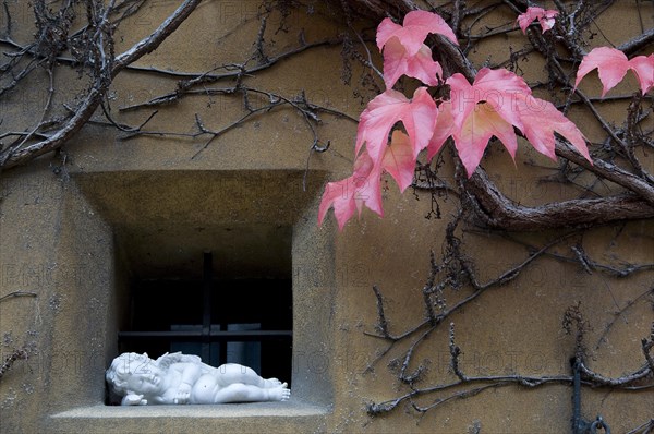 Window ledge in the Fuggerei