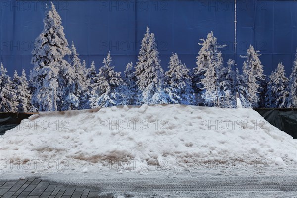 Privacy fence with photo of snow-covered fir trees